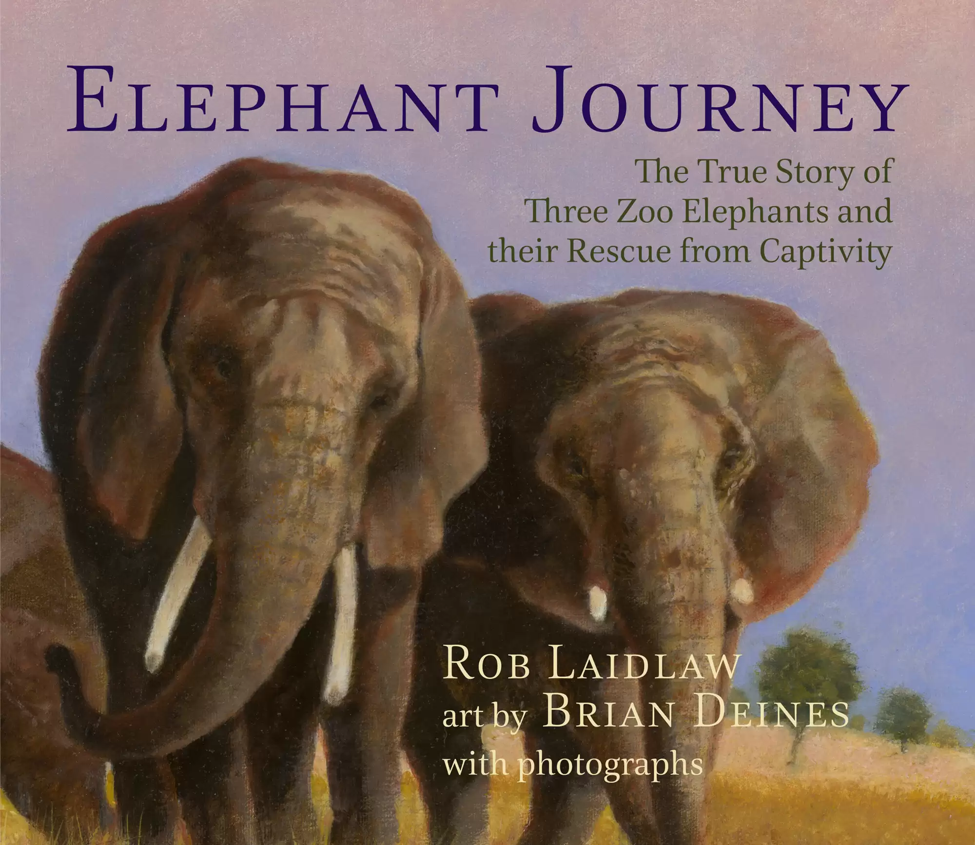 Elephant Journey cover