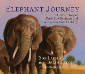 ElephantJourney_Internet