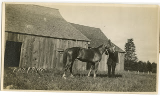 Lawrence and one of the horses, before the war
